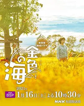 【剧情片】金色之海
