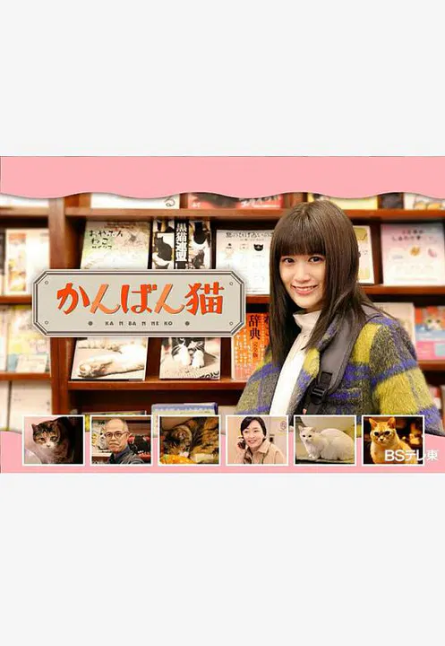 【日本剧】看板猫