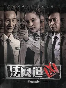 【国产剧】法网追凶